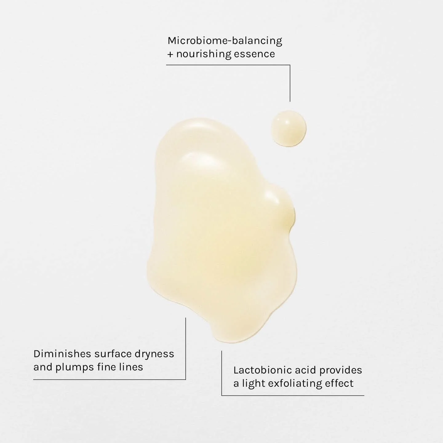 The Shroom Essence - Image 5